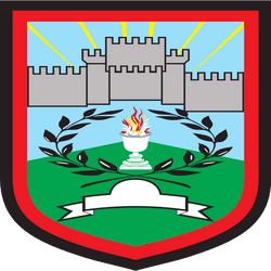 Municipality of Kamenica